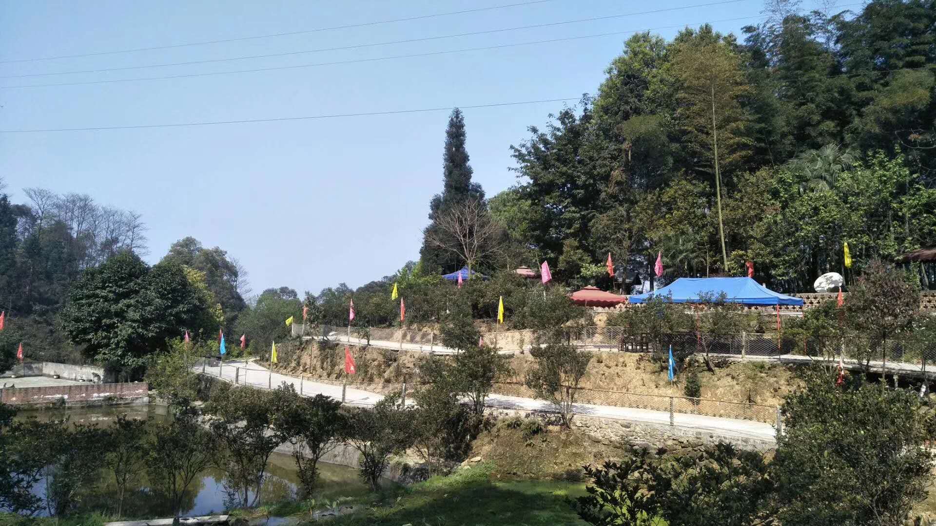 栏目图片